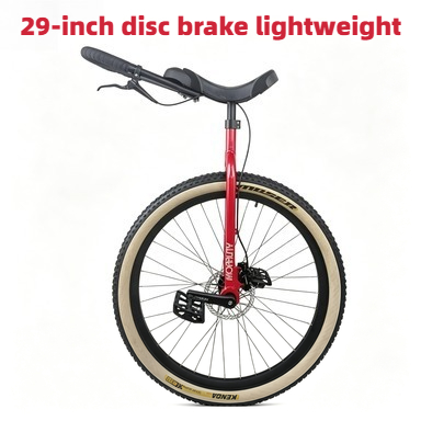 29Inch Morality Hydraulic Disc - Cycling Commute Distance 评论和价格