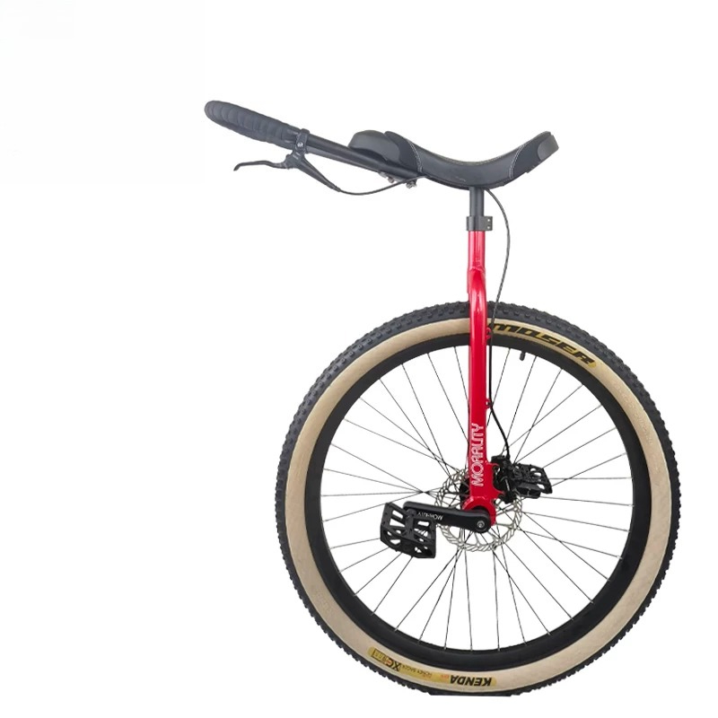 29Inch Morality Hydraulic Disc - Cycling Commute Distance 评论和价格