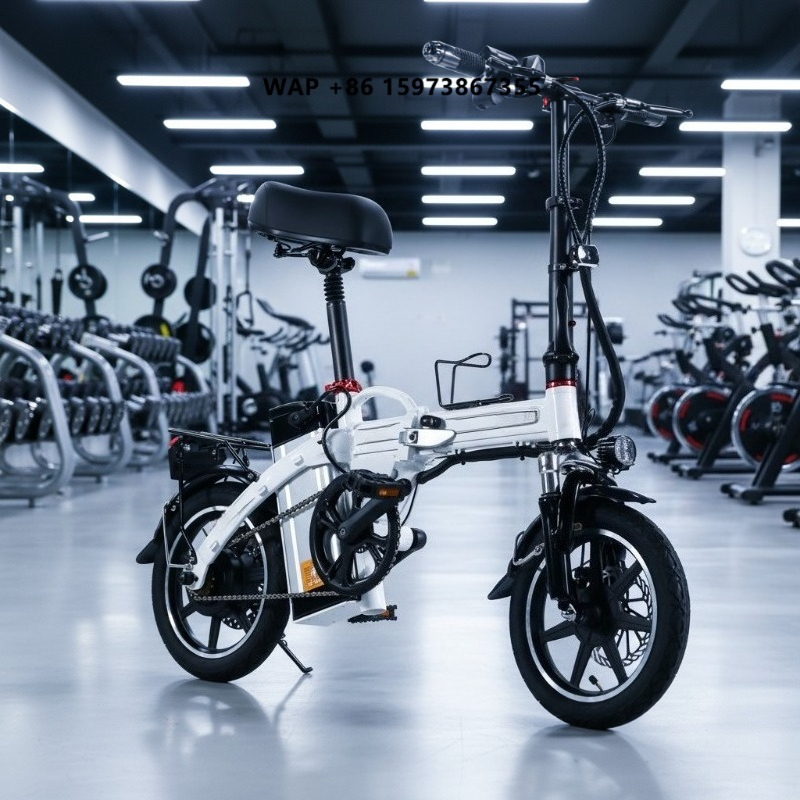Mini Folding Electric Bike Fac - Commuter Biking 评论和价格