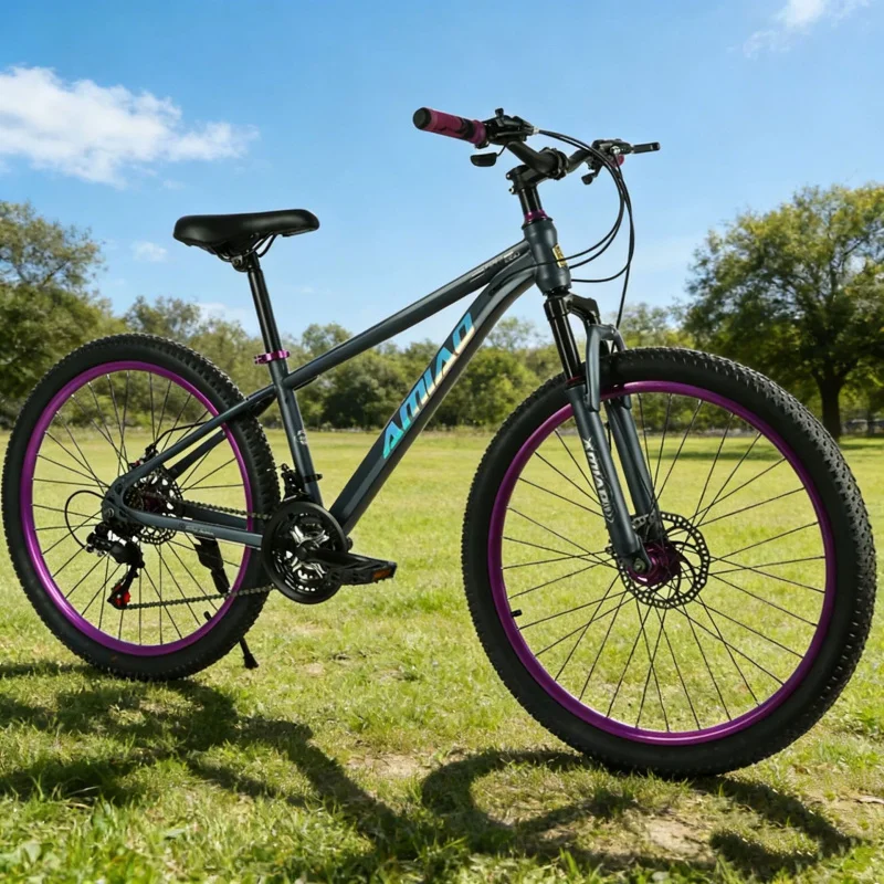 Multi-speed Mountain Bike Ligh - Cycling Commute Speed 评论和价格