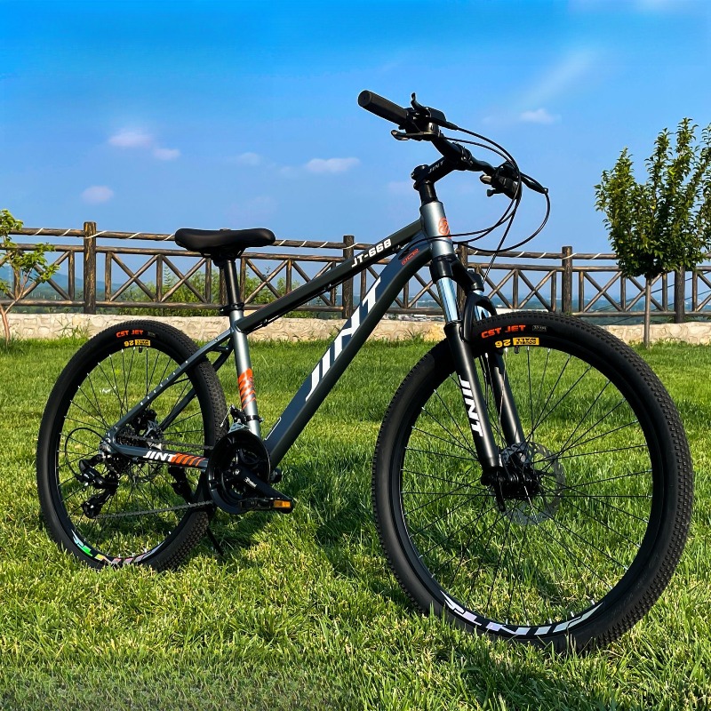 Wholesale Aluminum Alloy 26 In - Commuter Biking 评论和价格